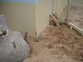 April2008 073